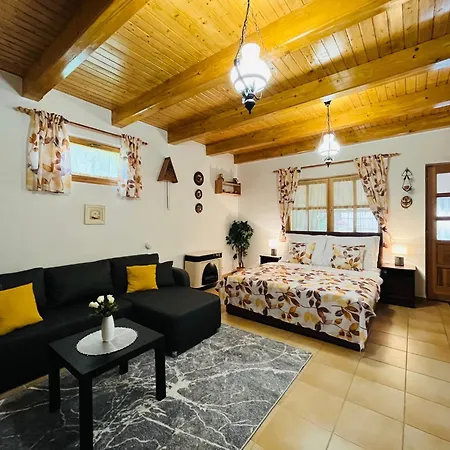 Apartament Juhar Vendeghaz